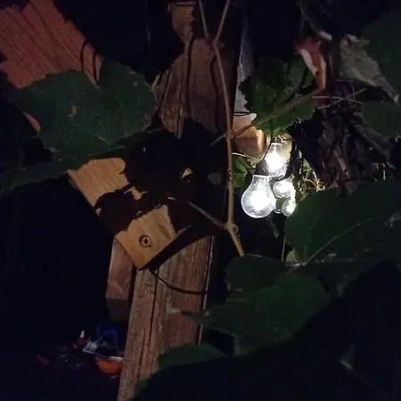 住宿加早餐酒店 Stare Bene Bernezzo