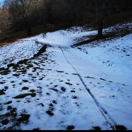 Stare Bene 住宿加早餐酒店