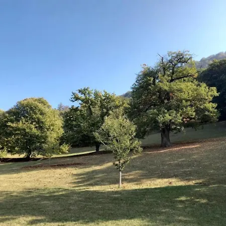 Stare Bene 住宿加早餐酒店 Bernezzo