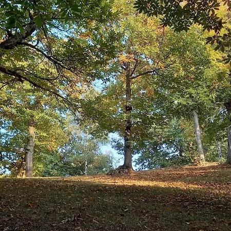 住宿加早餐酒店 Stare Bene