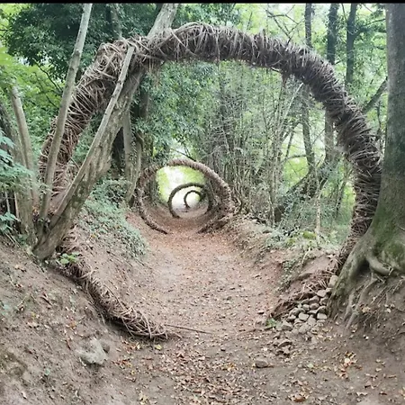 Stare Bene 3* Bernezzo