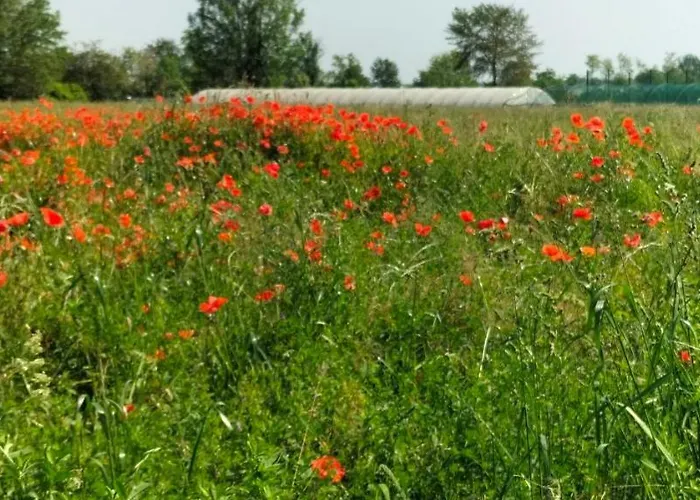 Nocleg ze śniadaniem Stare Bene